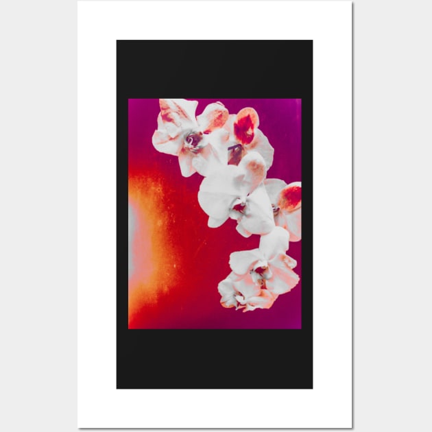 Vivid Orchid Wall Art by DeborahMcGrath